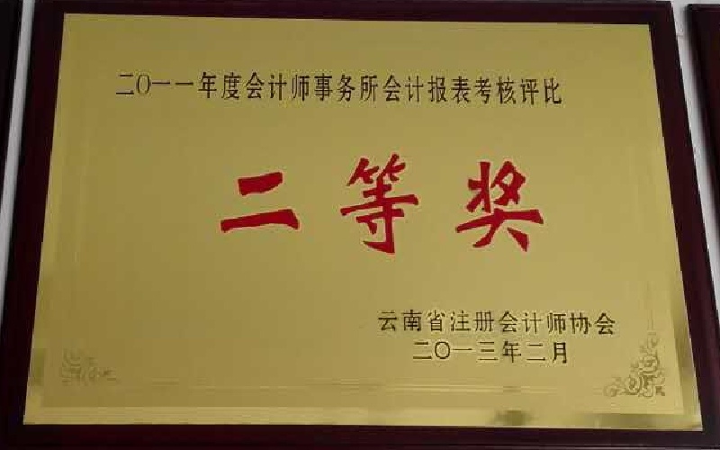 2011年度会计师事务所会计报表考核评比二等奖