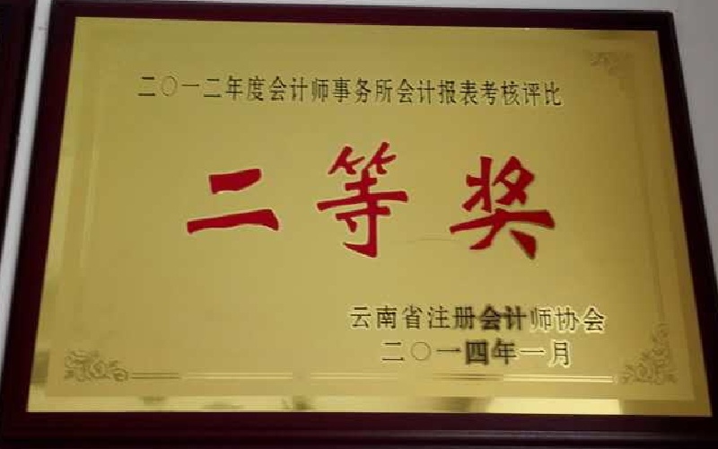 2012年度会计师事务所会计报表考核评比二等奖