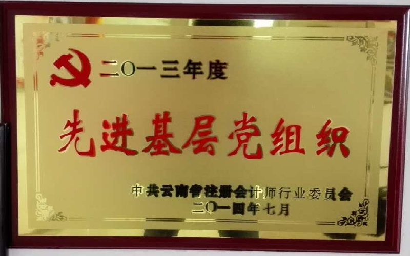 2013年度先进基层党组织牌匾