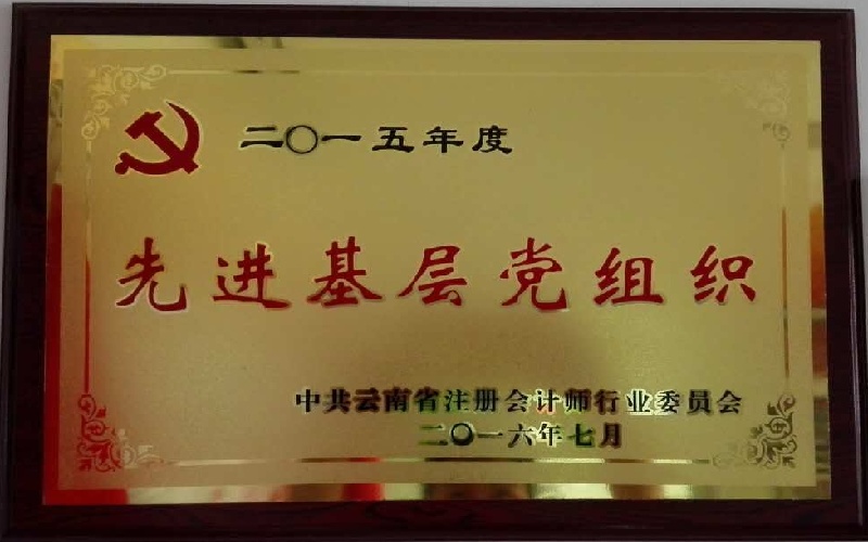 2015年度先进基层党组织牌匾