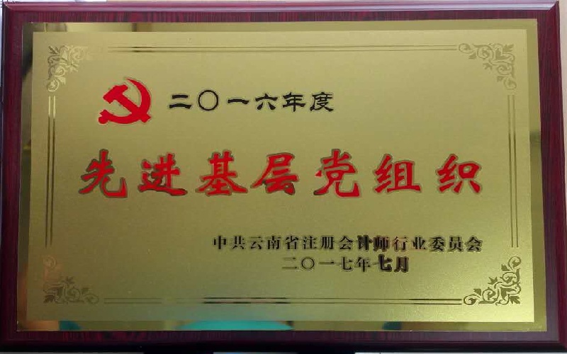 2016年度先进基层党组织牌匾