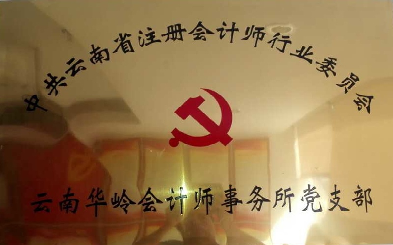 云南华岭会计师事务所党支部牌匾