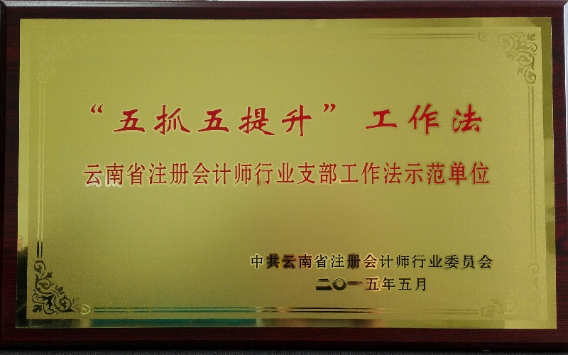 云南省注册会计师行业党支部五抓五提升工作法奖牌
