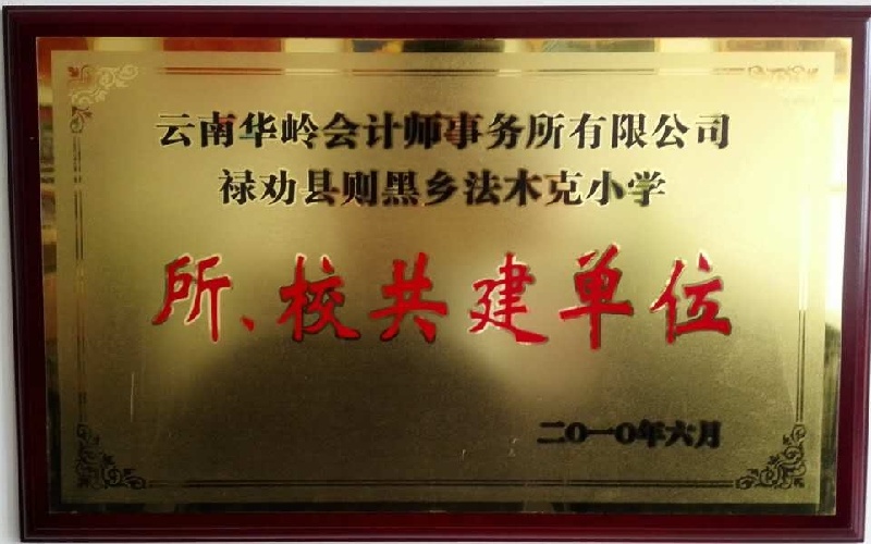 云南华岭会计师事务所禄劝助学-则黑乡