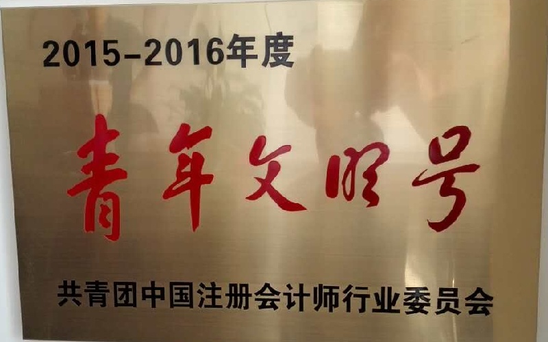 青年文明号-共青团中国注册会计师行业委员会牌匾