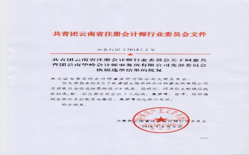 团支部换届选举结果批复2018.6.6