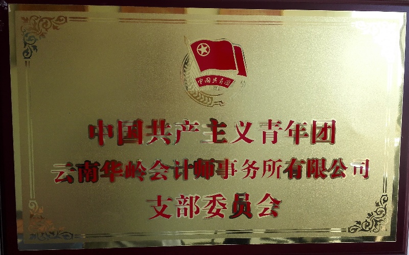 云南华岭会计师事务所有限公司团支部牌匾