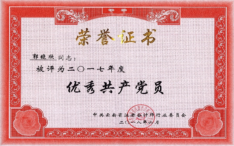 行业党委2017年度优秀共产党员——郭晓欣