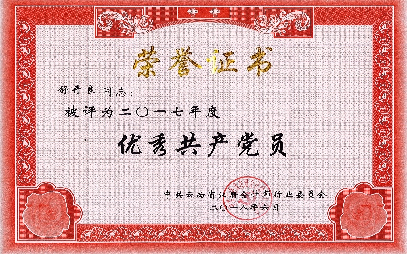 行业党委2017年度优秀共产党员——舒开良