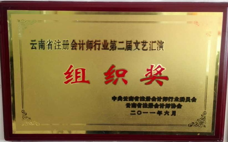 云南省注册会计师行业第二届文艺汇演组织奖2011.6