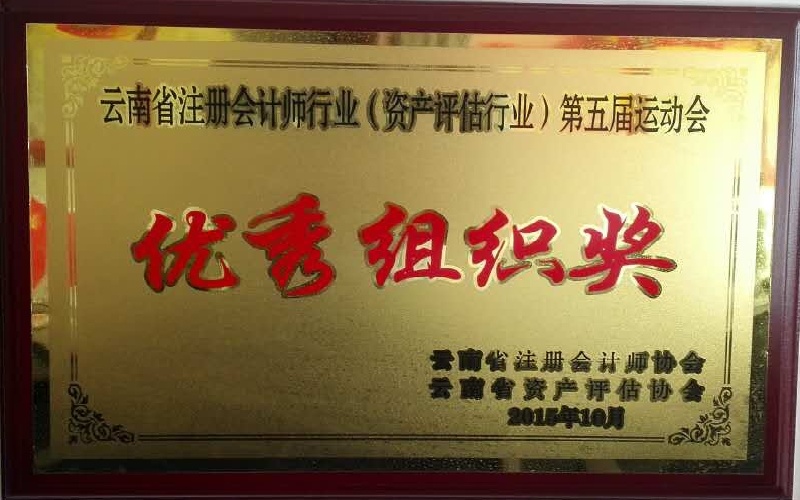云南省注册会计师行业第五届运动会优秀组织奖2015.10