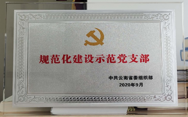 规范化建设示范党支部（省委组织部）